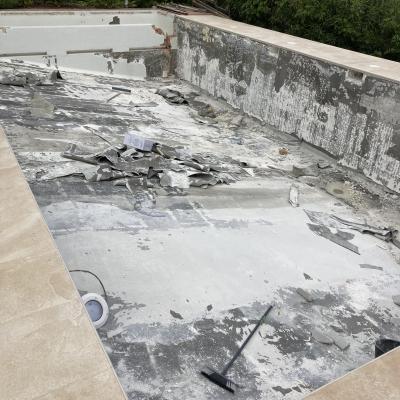 8f9fb94d Bee0 43ee 93a0 9ae80b42d97c