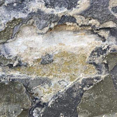 B3955ac3 9326 49d7 9fc9 4d2968e6cfc8