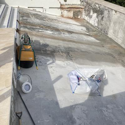 E1a9d248 1578 4599 A1bf A5e281b25cb7