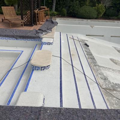 074d5462 Aaf7 4bd9 8f14 9932ca92a92c