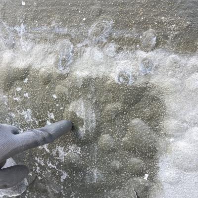 Fd64fbf0 F2bb 4f61 Bf78 90eb25ca734e